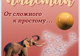 8 февраля отмечается День Российской науки